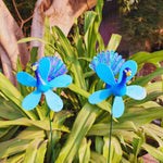 Peacock Garden Stakes (Pack of 2)