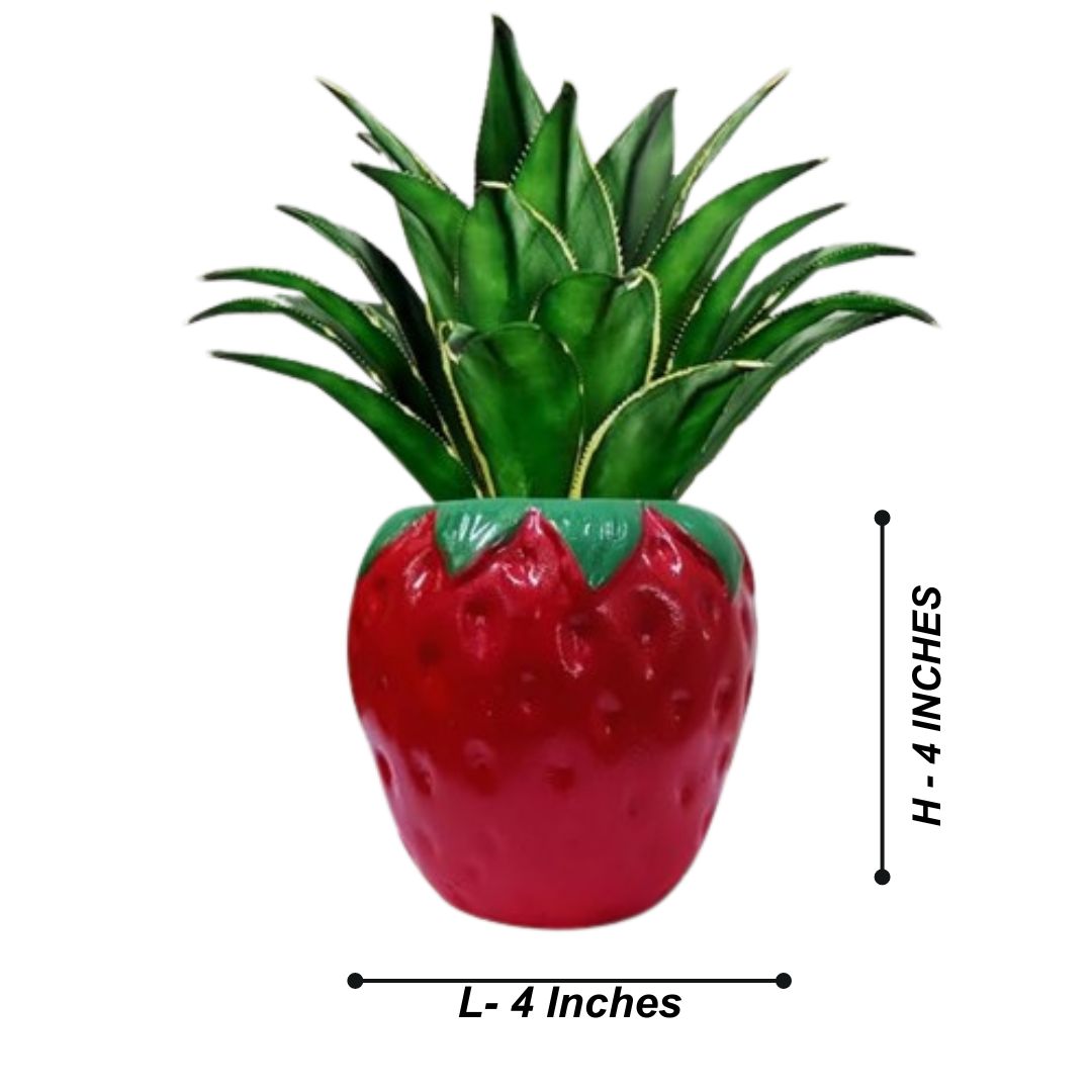 Fruits Planters for Garden Decor