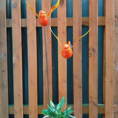 Parrot Garden Stake Decor | Bird Plant Pot Stakes (Set of 2)