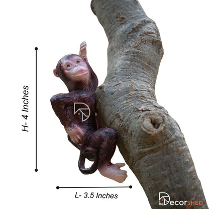 Hanging Monkey on Tree