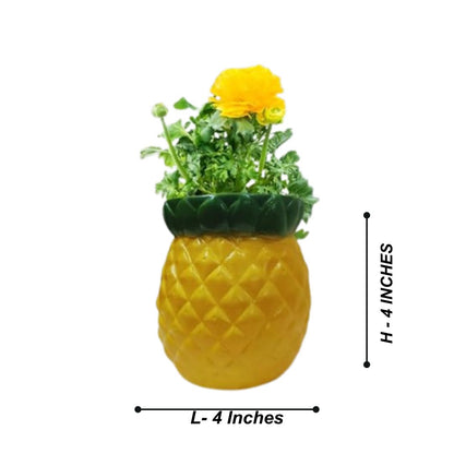 Fruits Planters for Garden Decor