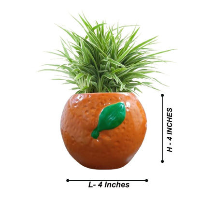 Fruits Planters for Garden Decor