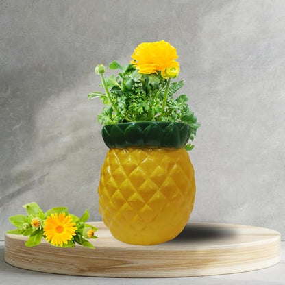 Fruits Planters for Garden Decor