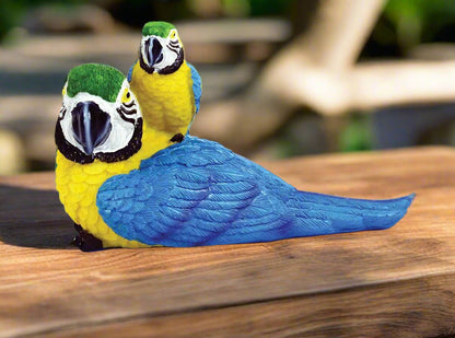 Cute Parrot with Baby