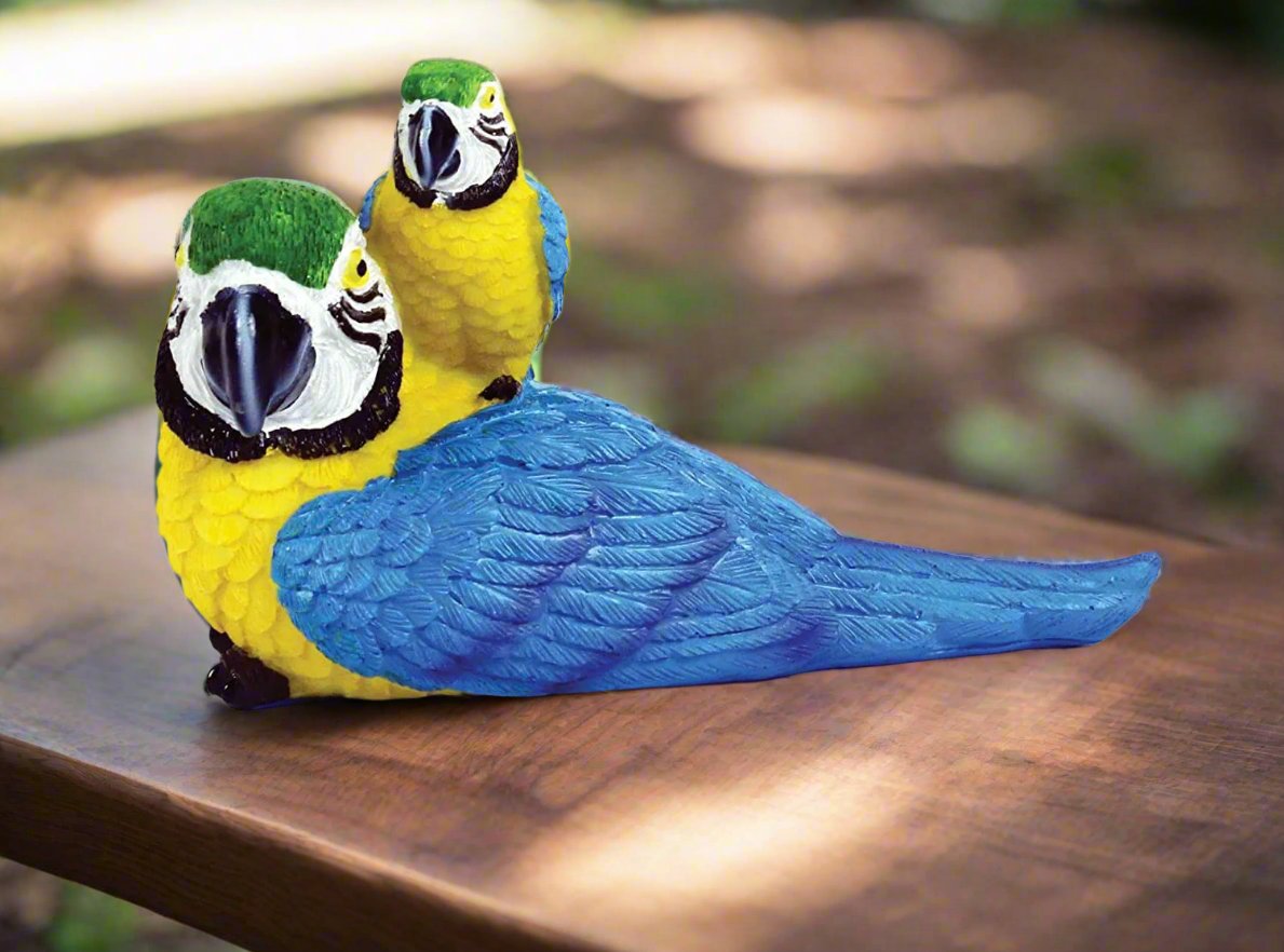 Cute Parrot with Baby