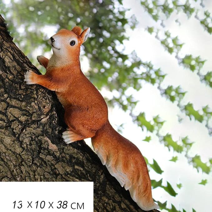 Tree Squirrel