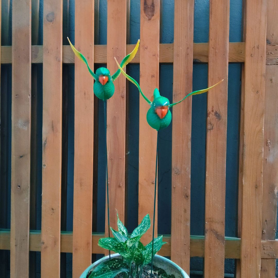 Parrot Garden Stake Decor | Bird Plant Pot Stakes (Set of 2)