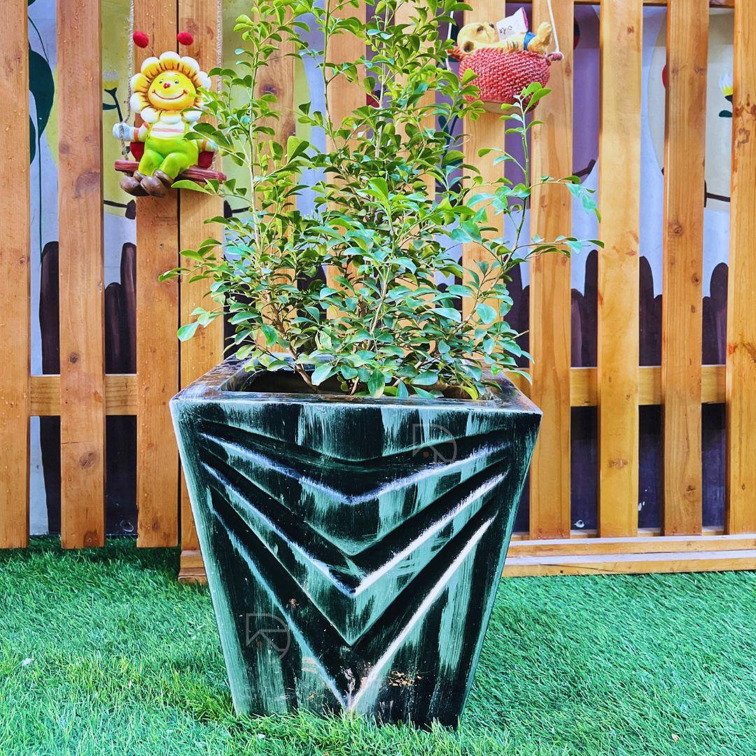 Fiber pots for plants - The Decorshed