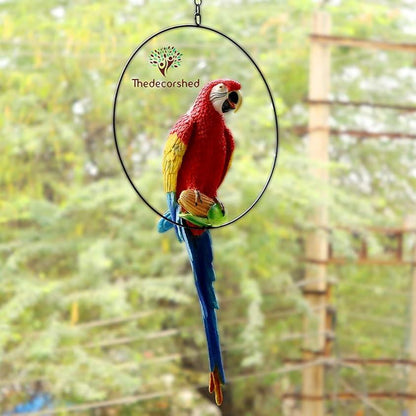 Big Ring Parrot For Garden Decor