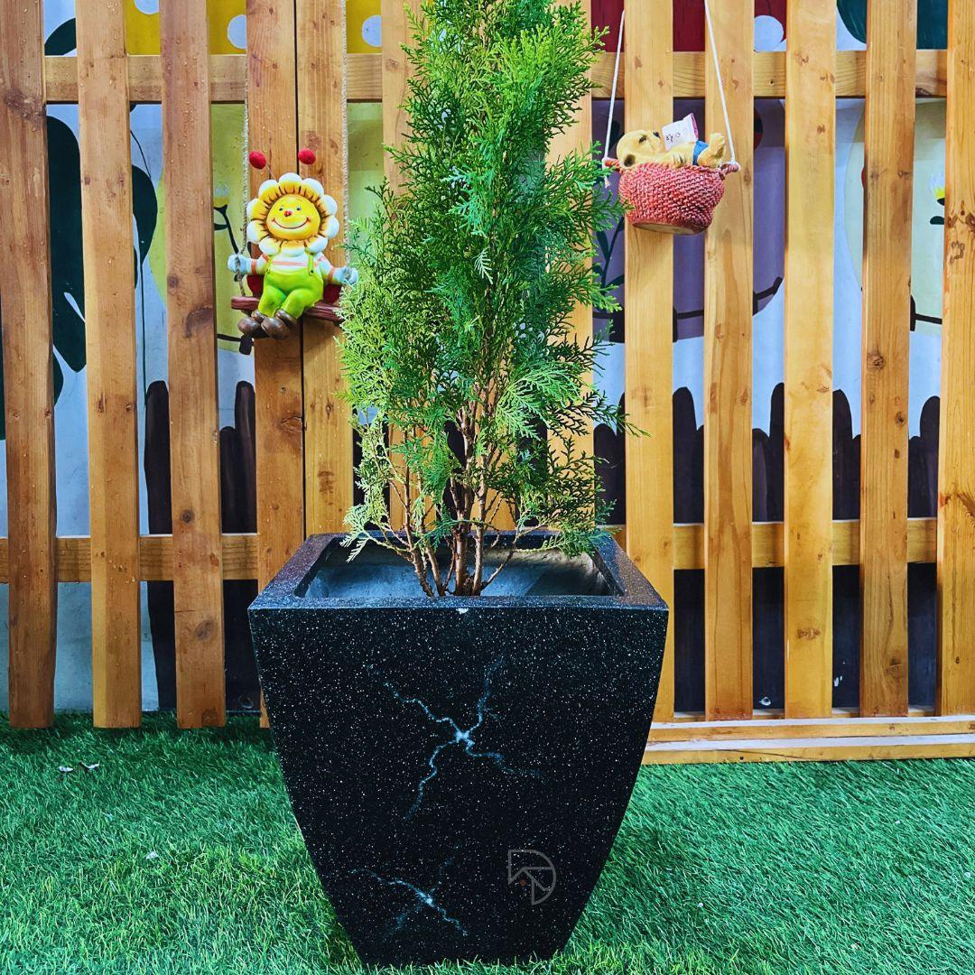 Fiber pots for plants - The Decorshed