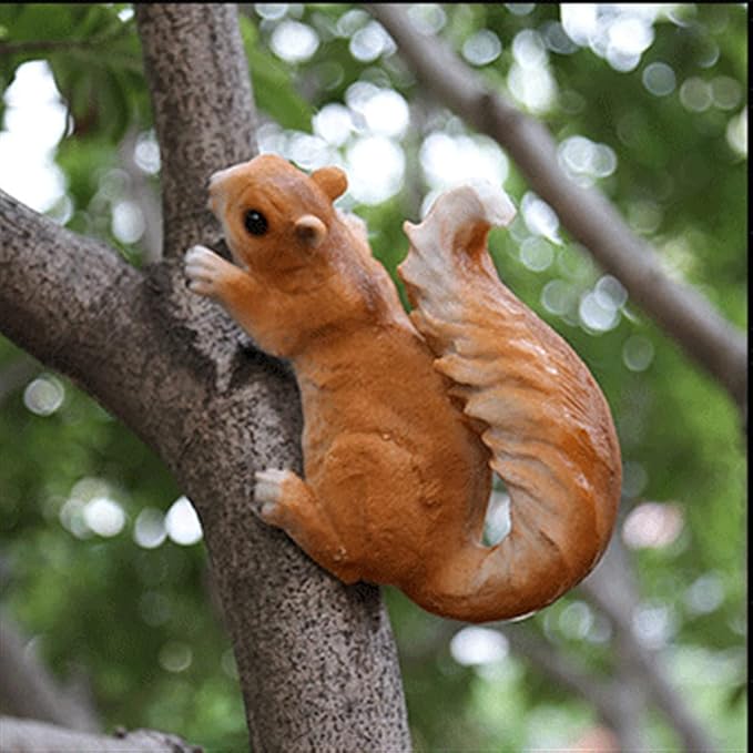 Tree Squirrel