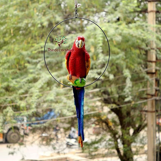 Big Ring Parrot For Garden Decor