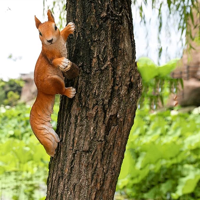 Tree Squirrel