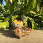 Garden Bird Feeder - The Decorshed