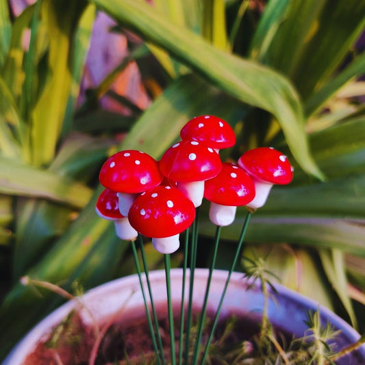 Small Mushroom Garden Stakes