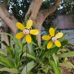 Cute Bee Flower Garden Stakes - Colourful Wind Spinner Stakes (Set of 2)