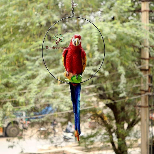 Big Ring Parrot For Garden Decor - The Decorshed