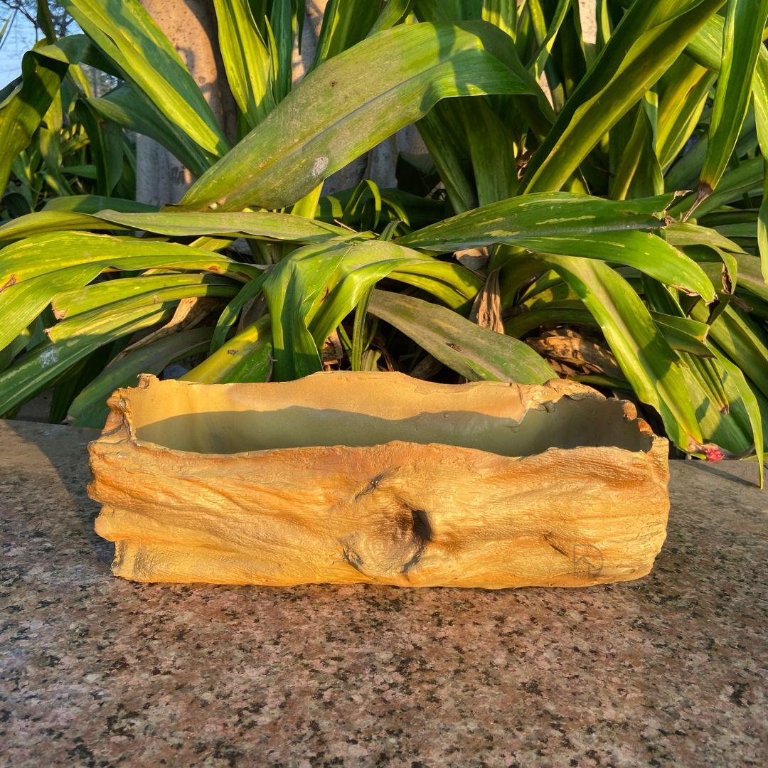 Bonsai Tray for Garden Decor - The Decorshed