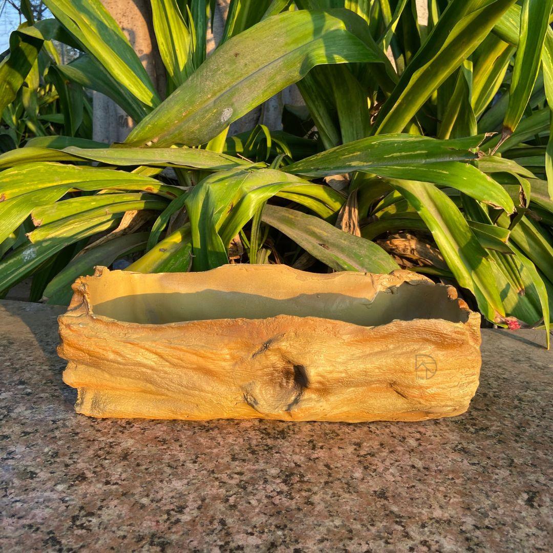 Bonsai Tray for Garden Decor - The Decorshed