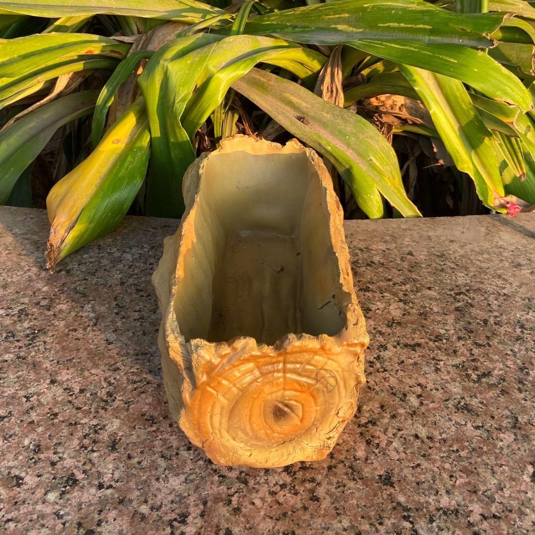 Bonsai Tray for Garden Decor - The Decorshed