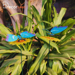 Butterfly Garden Stakes ( pack of 2) - The Decorshed