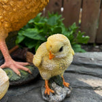 Charming Chick Garden Set - The Decorshed