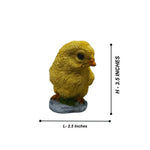 Charming Chick Garden Set - The Decorshed