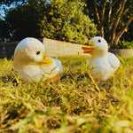 Cute Duck Family - The Decorshed