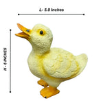 Cute Duck Family - The Decorshed