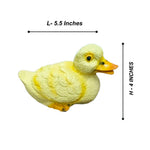 Cute Duck Family - The Decorshed