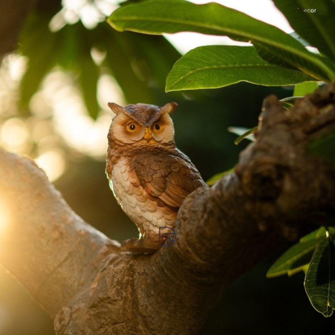 Cute Owl for Table decor - The Decorshed