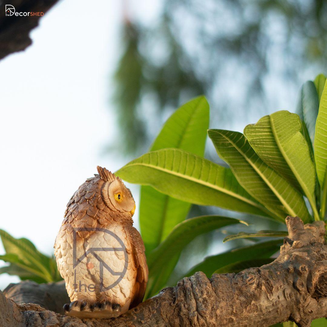 Cute Owl for Table decor - The Decorshed