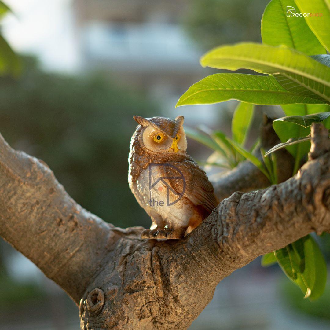 Cute Owl for Table decor - The Decorshed