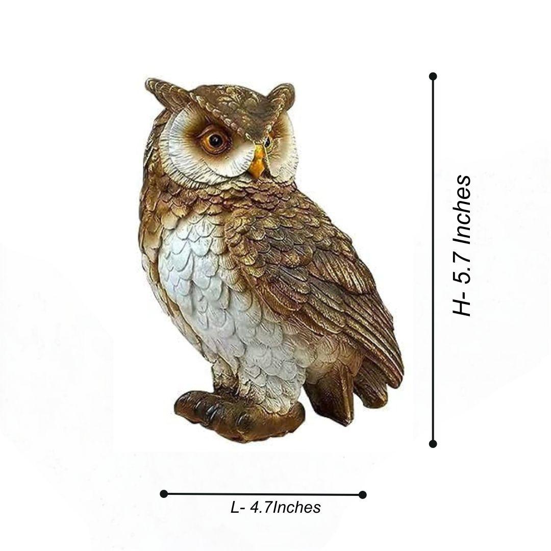 Cute Owl for Table decor - The Decorshed