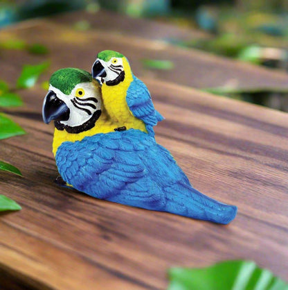 Cute Parrot with Baby - The Decorshed