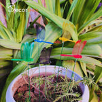 Dragonfly Garden Stakes - The Decorshed