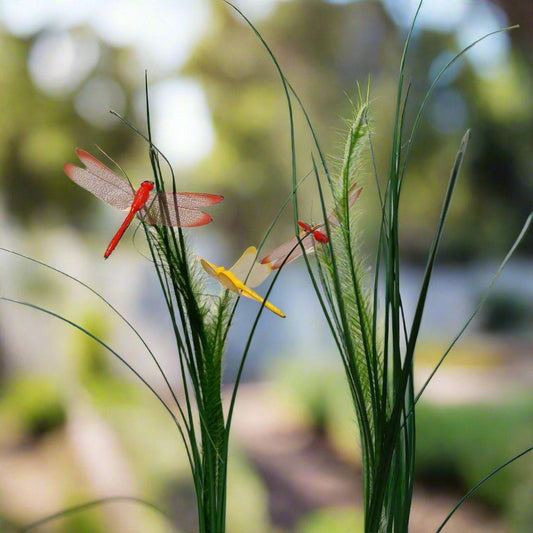 Dragonfly Garden Stakes (Set of 2) - The Decorshed