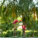 Eagle Bird Set - The Decorshed