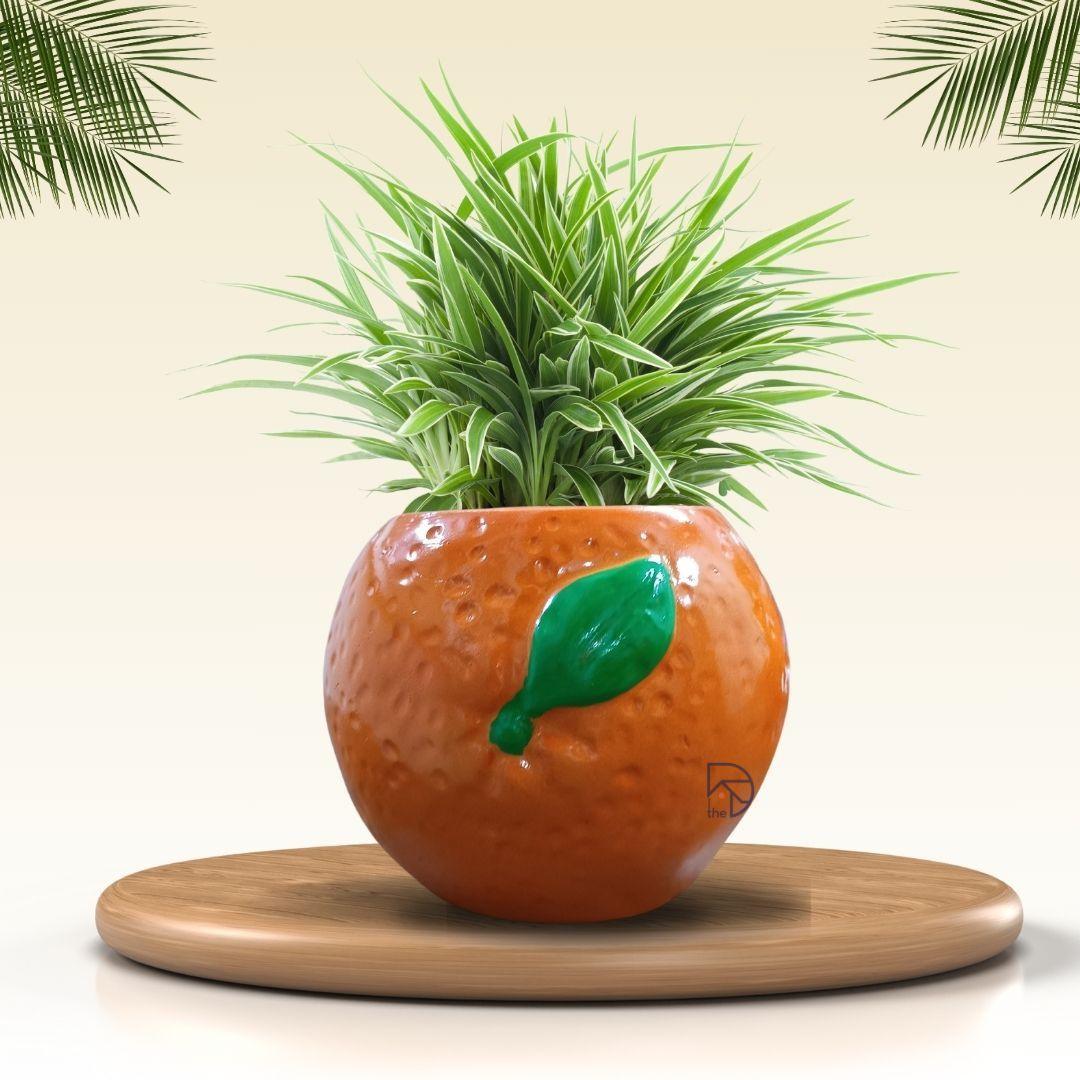 Fruits Planters for Garden Decor - The Decorshed