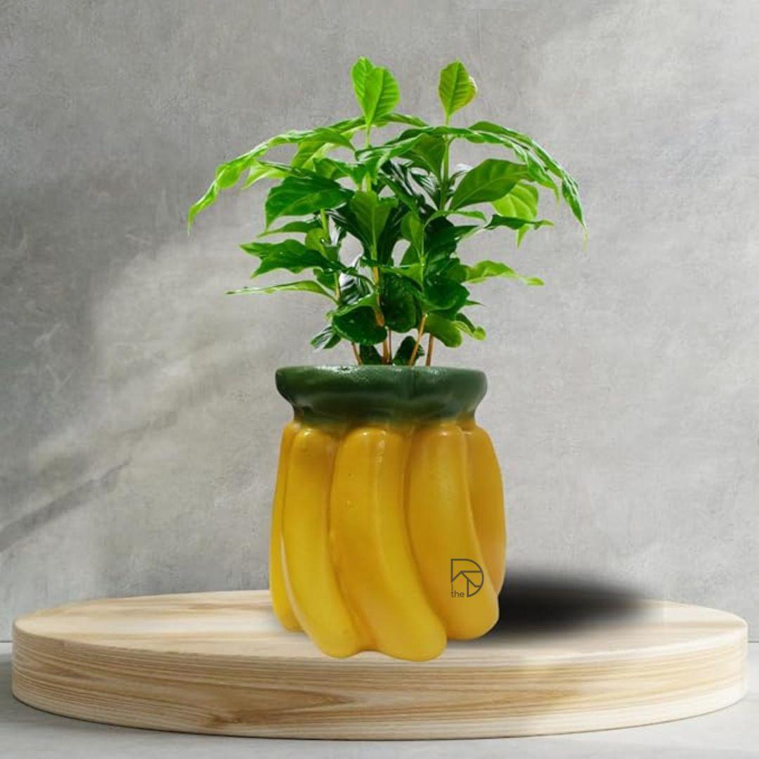 Fruits Planters for Garden Decor - The Decorshed