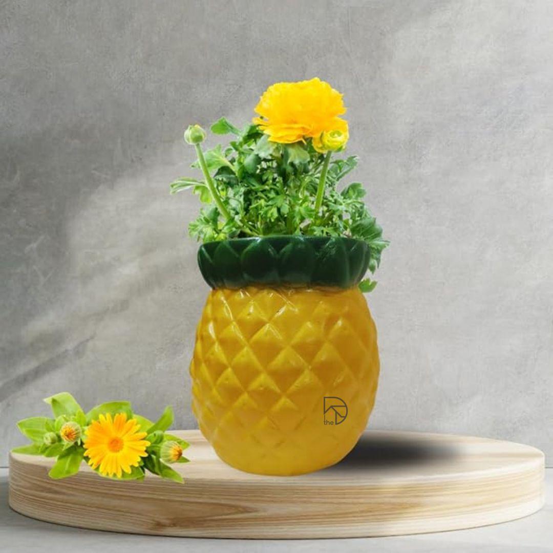 Fruits Planters for Garden Decor - The Decorshed