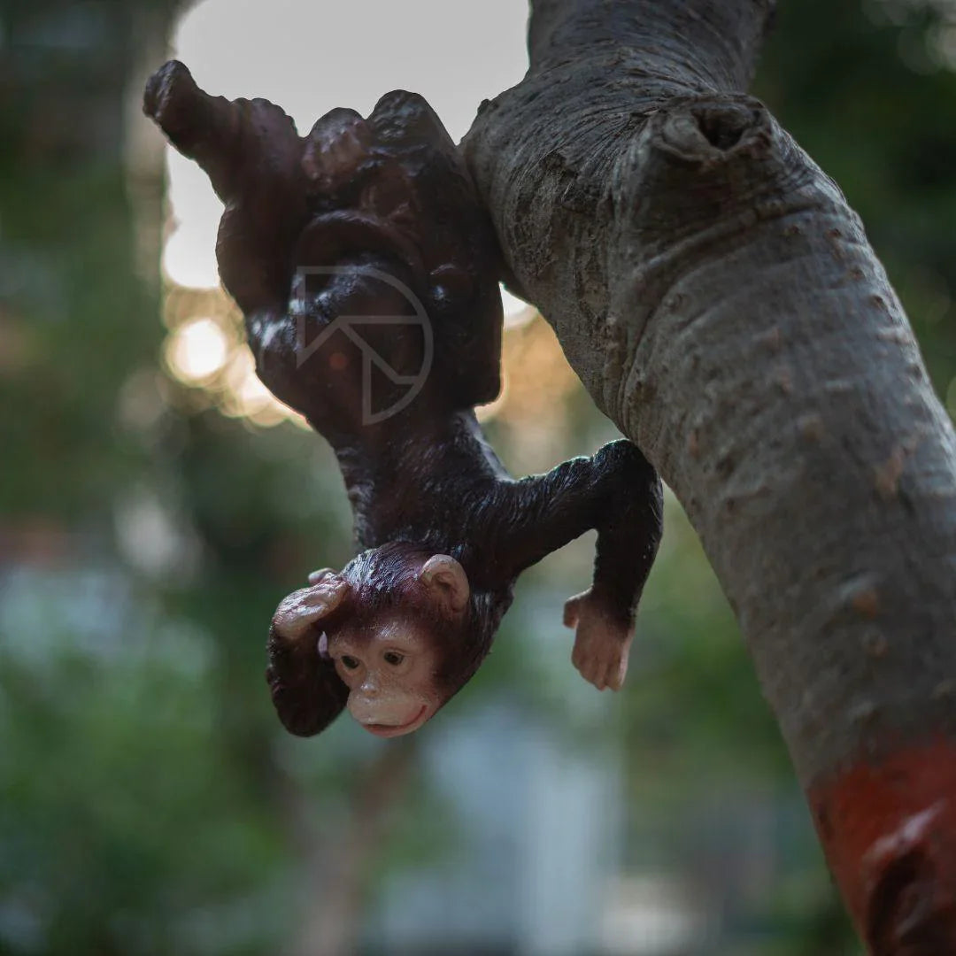 Hanging Monkey on Tree - The Decorshed