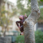 Jungle Swing Monkey - The Decorshed