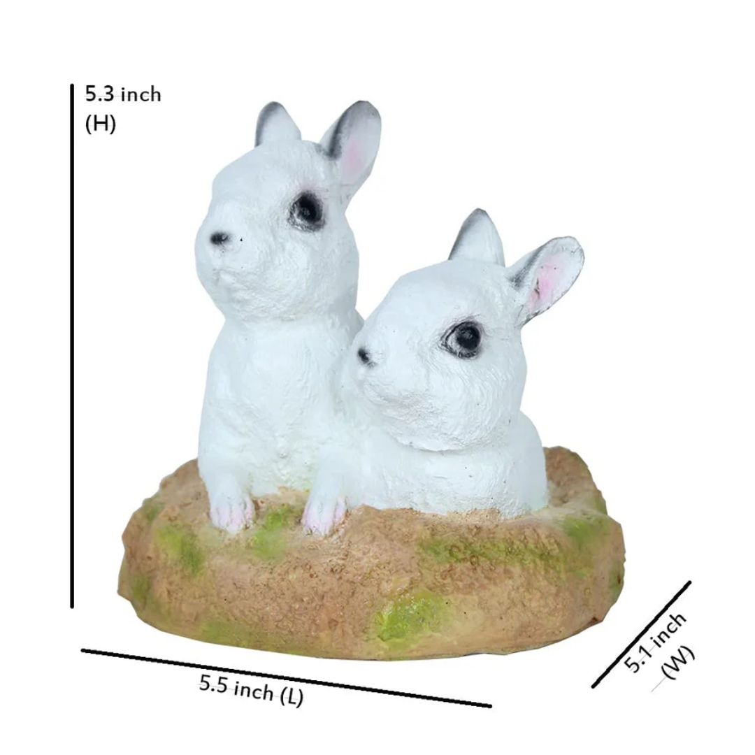 Rabbit from Hole for garden decor