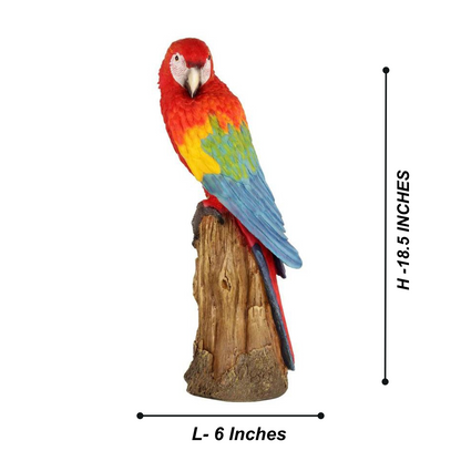 Large Parrot on Wood Log