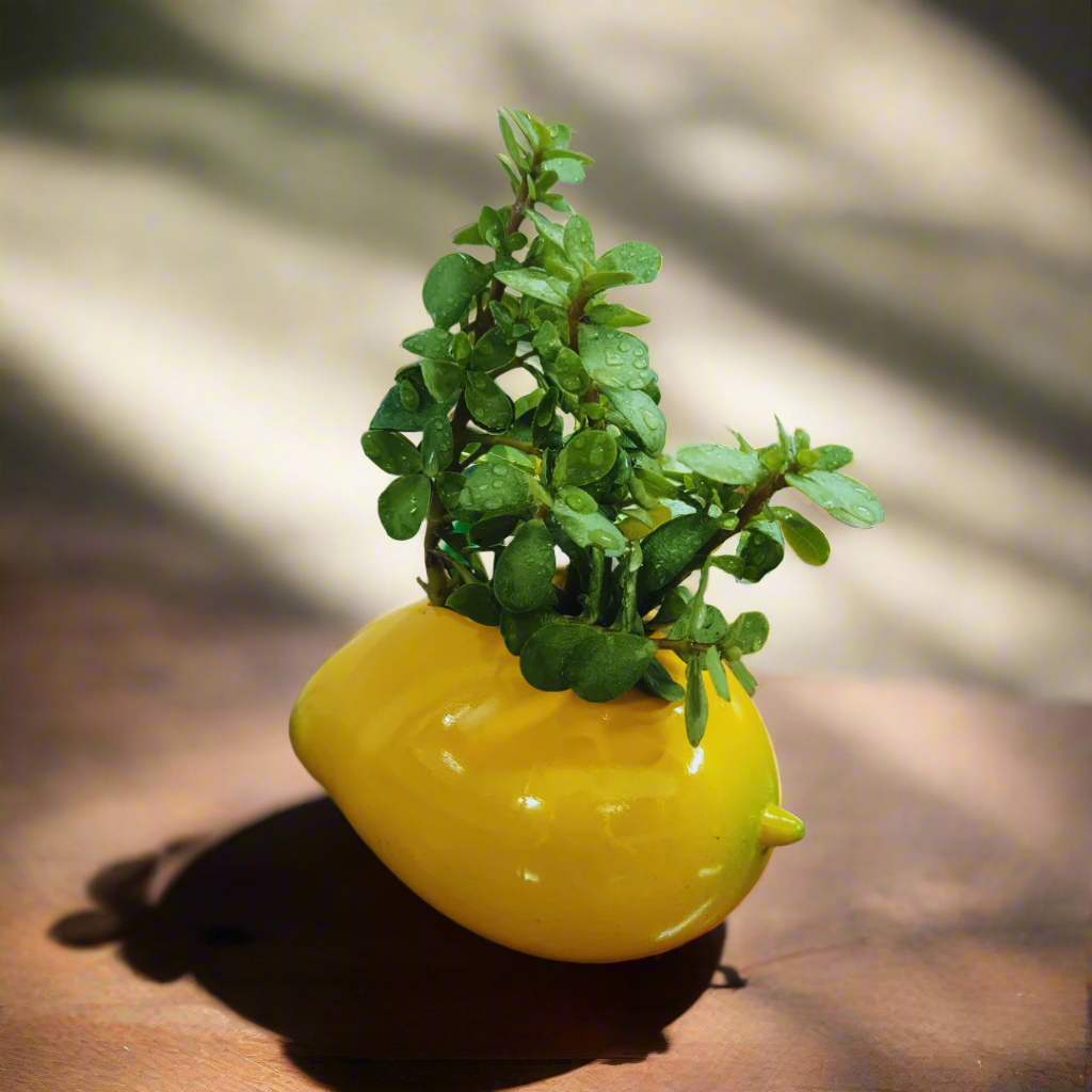 Yellow pear-shaped planter with a small green plant on a wooden surface
