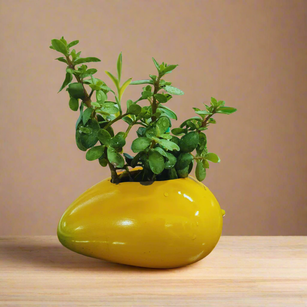 Yellow vase with a small green plant on a wooden surface