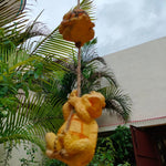 Playful Turtle On String - The Decorshed