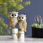 Owl Showpiece for Home Decor