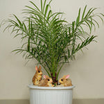 Rabbit Sculptures (Set of 3) - The Decorshed